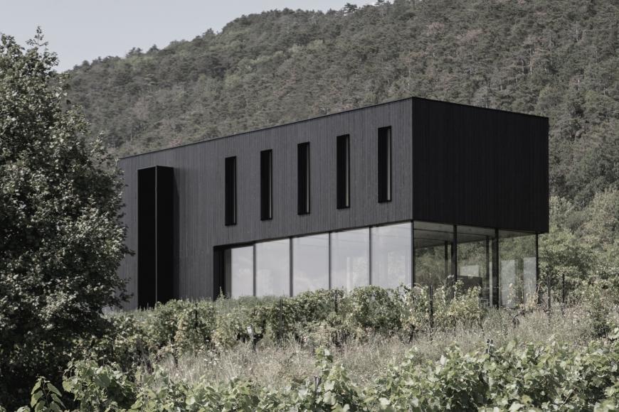 Haus Avos © Vic Schwarz, STEINBAUER architektur+design
