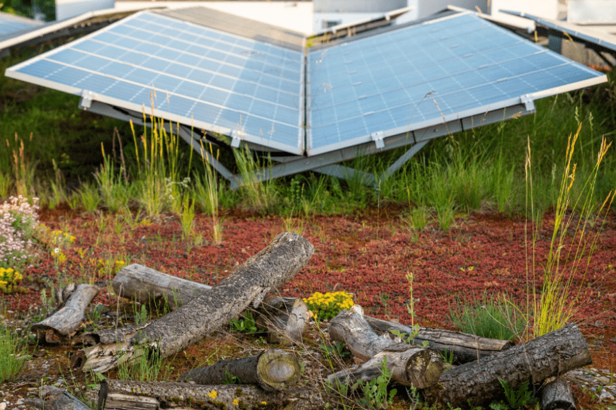 Fotovoltaik und Dachbegrünung, Schweiz © Andi Hofstetter