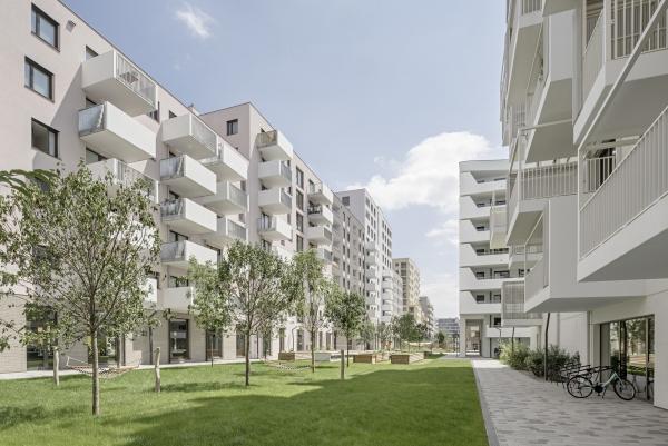 synn architekten, Wohnbau ROSE und white, Wien © Hertha Hurnaus