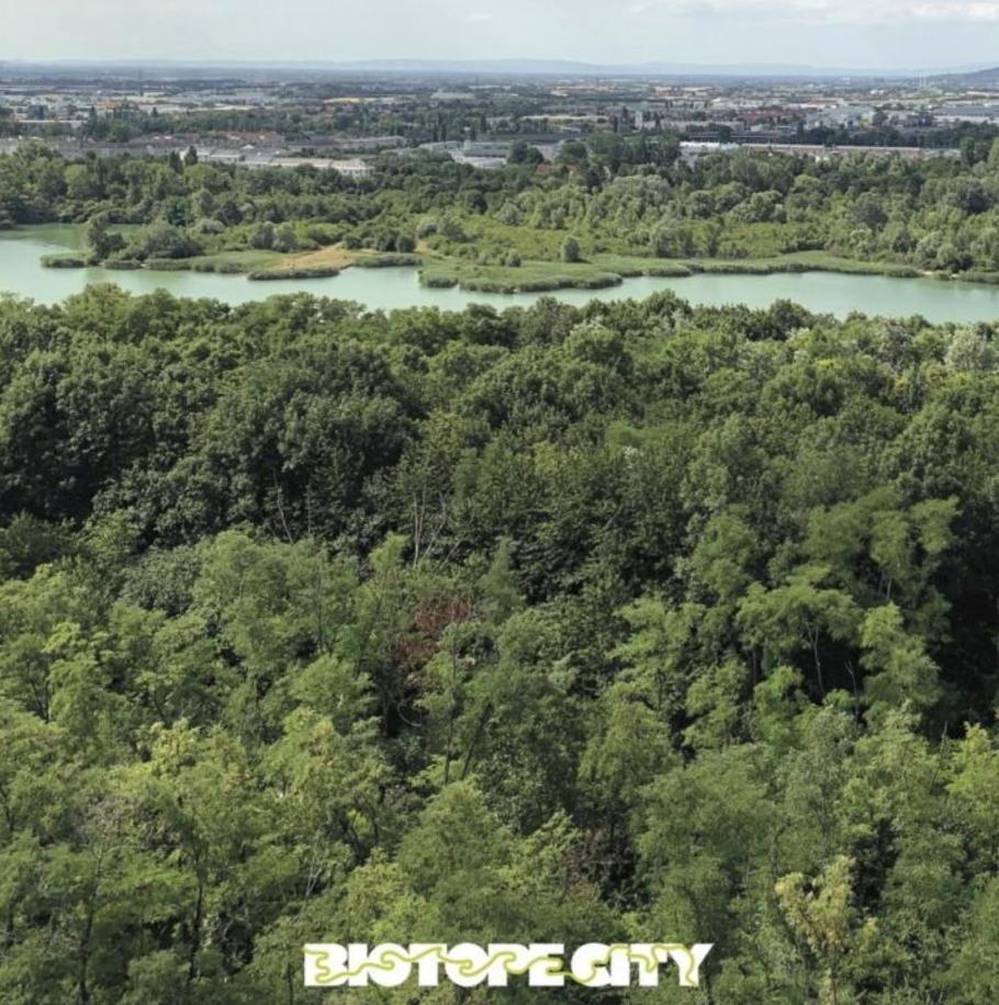 Bild: Ausschnitt aus dem Cover der Info-Broschüre ‚Biotope City Wienerberg‘ vom 1. August 2019, siehe Anhang