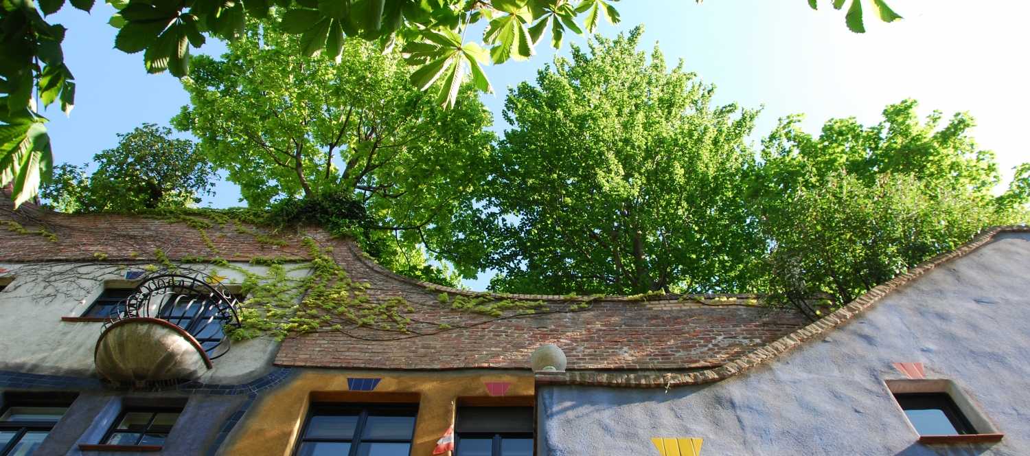 Hundertwasserhaus Dachbegrünung