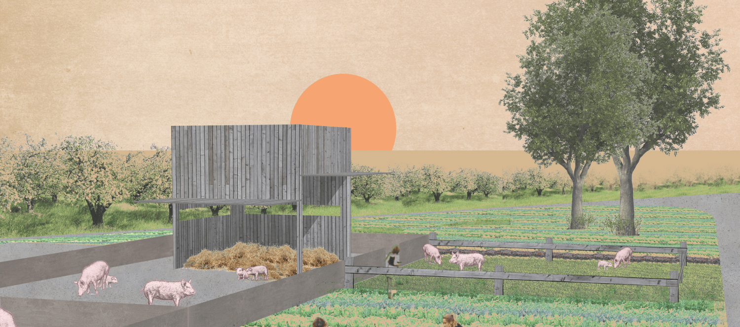 Architektur für Schweine Cover