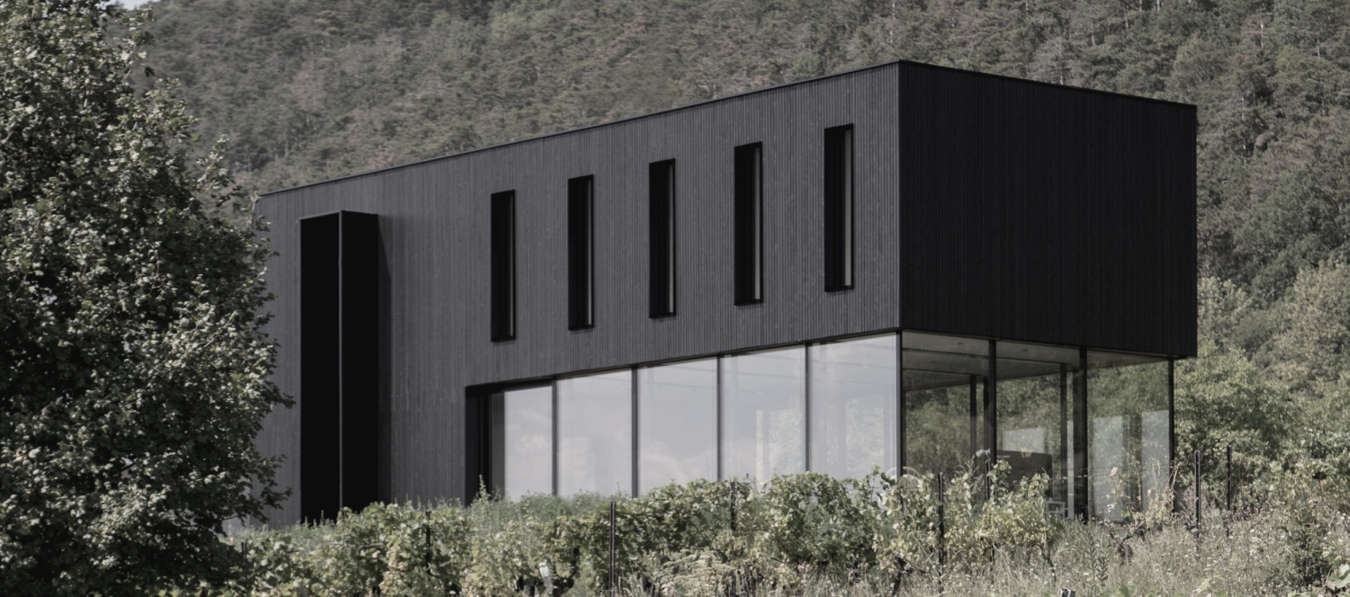 Haus Avos © Vic Schwarz, STEINBAUER architektur+design