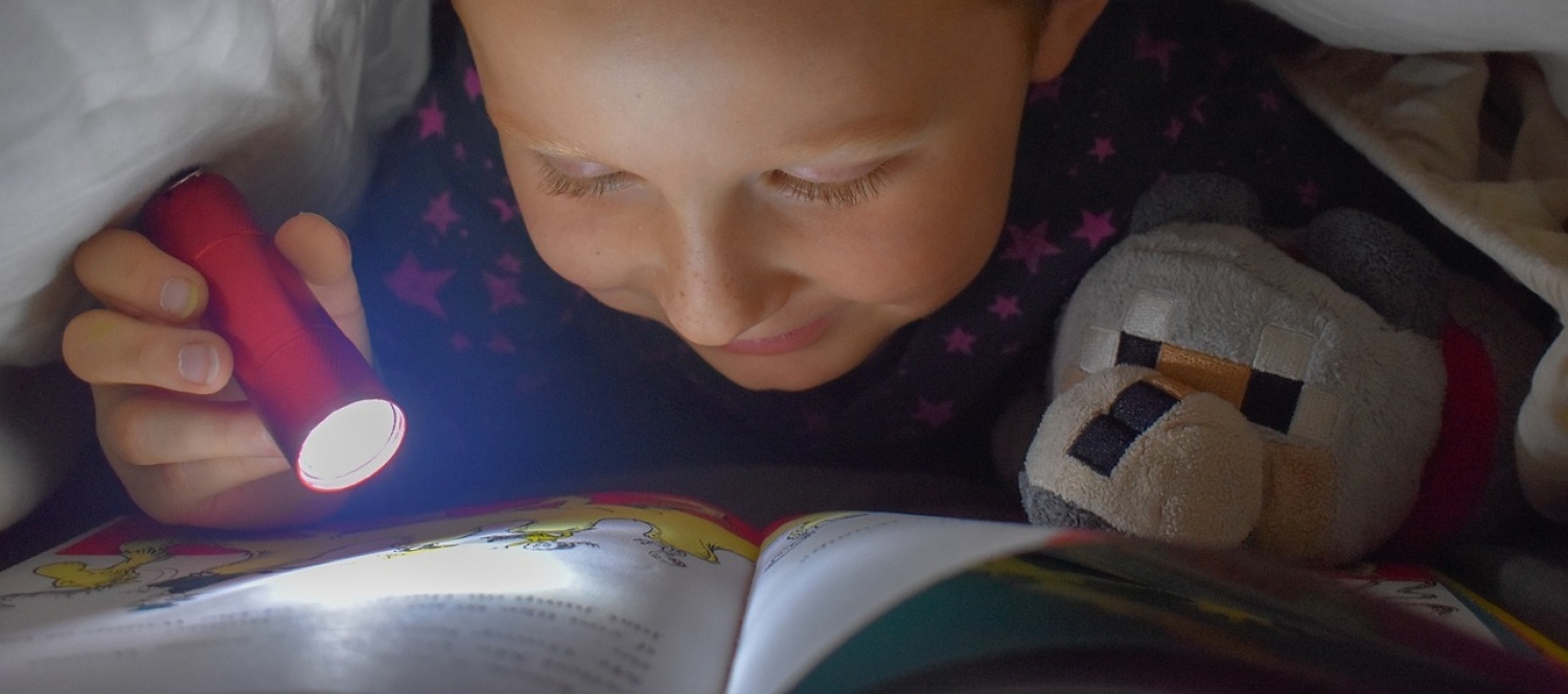 Kinder lesen © Amberrose Nelson, Pixabay