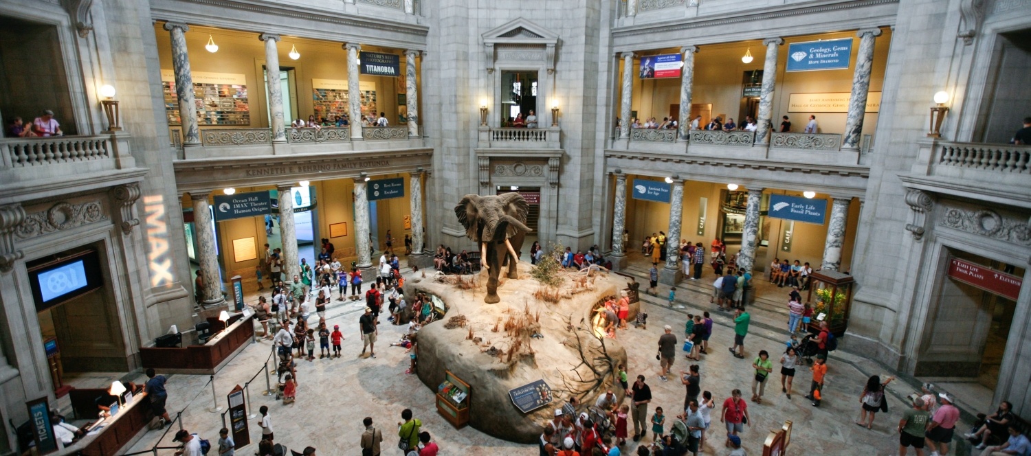 Smithsonian Institution National Museum of Natural History © Alex Proimos